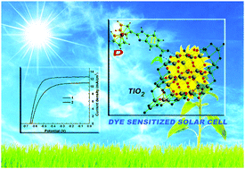 Graphical abstract: Ferrocenyl benzimidazole with carboxylic and nitro anchors as potential sensitizers in dye-sensitized solar cells