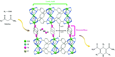 Graphical abstract: Highly effective Brønsted base/lewis acid cooperative catalysis: a new Cd metal–organic framework for the synthesis of Hantzsch 1,4-DHPs at ambient temperature