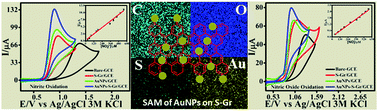 Graphical abstract: Self-assembled AuNPs on sulphur-doped graphene: a dual and highly efficient electrochemical sensor for nitrite (NO2−) and nitric oxide (NO)
