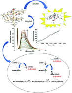 Graphical abstract: A ruthenium(iii) complex derived from N,N′-bis(salicylidene)ethylenediamine as a chemosensor for the selective recognition of acetate and its interaction with cells for bio-imaging: experimental and theoretical studies
