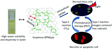 Graphical abstract: Facile synthesis of a highly water-soluble graphene conjugated chlorophyll-a photosensitizer composite for improved photodynamic therapy in vitro