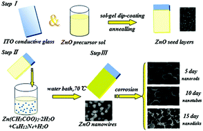 Graphical abstract: Photoelectrochemical properties and growth mechanism of varied ZnO nanostructures