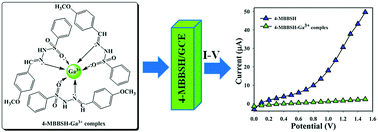Graphical abstract: Fabrication of a Ga3+ sensor probe based on methoxybenzylidenebenzenesulfonohydrazide (MBBSH) by an electrochemical approach