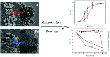 Graphical abstract: Chitosan microspheres-supported palladium species as an efficient and recyclable catalyst for Mizoroki–Heck reaction