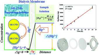 Graphical abstract: Determination of mercury in aquatic systems by DGT device using thiol-modified carbon nanoparticle suspension as the liquid binding phase