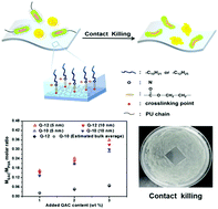 Graphical abstract: Design of polyurethane acrylic antimicrobial films via one-step UV curing