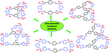 Graphical abstract: Exploring the gem-dimethyl effect in the formation of imine-based macrocycles and cages