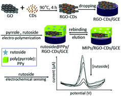 Graphical abstract: Facile construction of reduced graphene oxide–carbon dot complex embedded molecularly imprinted polymers for dual-amplification and selective electrochemical sensing of rutoside
