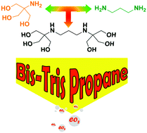 Graphical abstract: Bis-tris propane in DMSO as a wet scrubbing agent: carbamic acid as a sequestered CO2 species