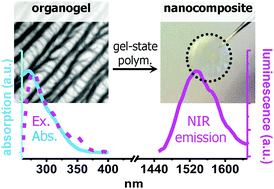 Graphical abstract: A versatile platform for lanthanide(iii)-containing organogelators: fabrication of the Er(iii)-incorporated polymer nanocomposite from an organogel template