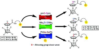 Graphical abstract: Borylation, silylation and selenation of C–H bonds in metal sandwich compounds by applying a directing group strategy