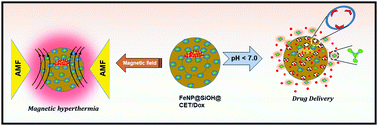 Graphical abstract: Crown ether triad modified core–shell magnetic mesoporous silica nanocarrier for pH-responsive drug delivery and magnetic hyperthermia applications