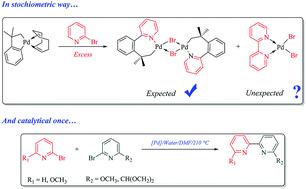 Graphical abstract: Csp2–Br bond activation of Br-pyridine by neophylpalladacycle: formation of binuclear seven-membered palladacycle and bipyridine species