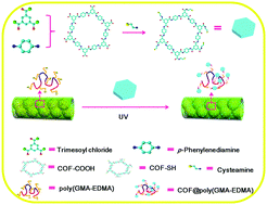 Graphical abstract: Polymer monolith containing an embedded covalent organic framework for the effective enrichment of benzophenones