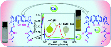 Graphical abstract: Functionalized calix[4]arene as a colorimetric dual sensor for Cu(ii) and cysteine in aqueous media: experimental and computational study