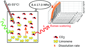 Graphical abstract: In situ determination of dissolution kinetics of d-limonene in supercritical carbon dioxide by Raman spectroscopy