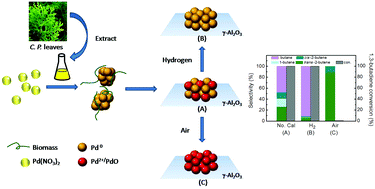 Graphical abstract: Biosynthesized Pd/γ-Al2O3 catalysts for low-temperature 1,3-butadiene hydrogenation: the effect of calcination atmosphere