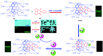 Graphical abstract: Novel supramolecular sensors constructed from pillar[5]arene and a naphthalimide for efficient detection of Fe3+ and F− in water
