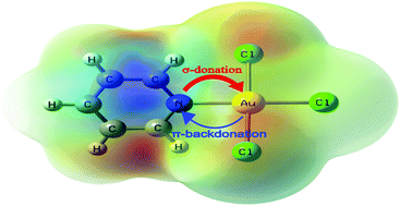 Graphical abstract: The nature of the Au–N bond in gold(iii) complexes with aromatic nitrogen-containing heterocycles: the influence of Au(iii) ions on the ligand aromaticity