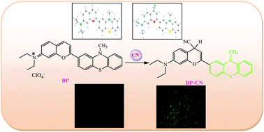 Graphical abstract: A benzopyrylium–phenothiazine conjugate of a flavylium derivative as a fluorescent chemosensor for cyanide in aqueous media and its bioimaging