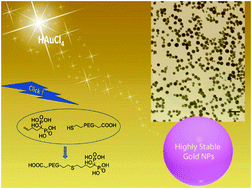 Graphical abstract: Versatile “click” synthesis of 1-hydroxy-1,1-methylenebisphosphonic acids with thioalkoxy substituents for the preparation of stable gold nanoparticles