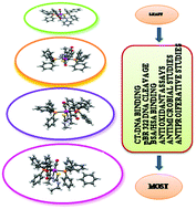 Graphical abstract: Cyclometallated ruthenium(ii) complexes with 3-acetyl-2[H]-chromene-2-one derived CNS chelating ligand systems: synthesis, X-ray characterization and biological evaluation