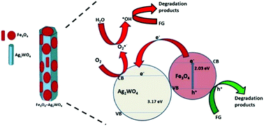 Graphical abstract: Fe3O4–Ag2WO4: facile synthesis, characterization and visible light assisted photocatalytic activity