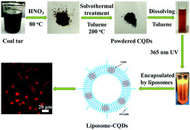 Graphical abstract: Facile conversion of coal tar to orange fluorescent carbon quantum dots and their composite encapsulated by liposomes for bioimaging