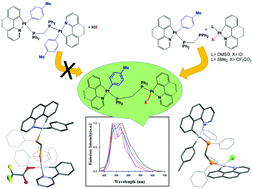 Graphical abstract: Photophysical study on unsymmetrical binuclear cycloplatinated(ii) complexes