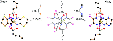 Graphical abstract: The molecular design of cage metal complexes for biological applications: pathways of the synthesis, and X-ray structures of a series of new N2-, S2- and O2-alicyclic iron(ii) di- and tetrachloroclathrochelates