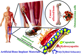 Graphical abstract: Development of self-repair nano-rod scaffold materials for implantation of osteosarcoma affected bone tissue