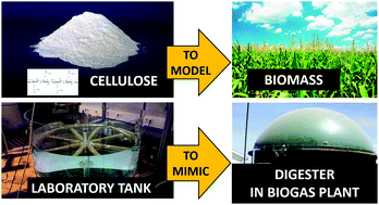 Graphical abstract: Thermal behaviour of viscosity of aqueous cellulose solutions to emulate biomass in anaerobic digesters