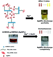 Graphical abstract: Exploration of carboxymethyl guargum grafted hyperbranched poly(acrylic acid) as a scaffold for silver nanoparticles for ultrafast and selective sensing of Hg(ii)
