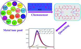 Graphical abstract: A one-step synthesized acridine-based fluorescent chemosensor for selective detection of copper(ii) ions and living cell imaging