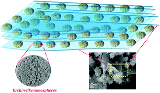 Graphical abstract: Zn-doped SnO2 nano-urchin-enriched 3D carbonaceous framework for supercapacitor application