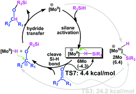 Graphical abstract: Mechanistic insights into the catalytic carbonyl hydrosilylation by cationic [CpM(CO)2(IMes)]+ (M = Mo, W) complexes: the intermediacy of η1-H(Si) metal complexes