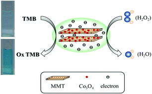 Graphical abstract: A colorimetric sensor of H2O2 based on Co3O4–montmorillonite nanocomposites with peroxidase activity
