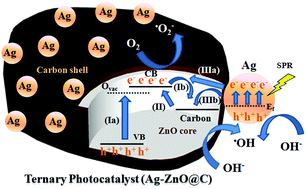 Graphical abstract: Electrochemically active biofilm-assisted biogenic synthesis of an Ag-decorated ZnO@C core–shell ternary plasmonic photocatalyst with enhanced visible-photocatalytic activity
