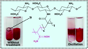 Graphical abstract: Amidoxime-modified chitosan for pigment red 224 enrichment through reversible assembly