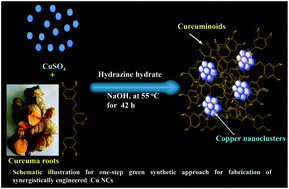 Graphical abstract: One-step eco-friendly approach for the fabrication of synergistically engineered fluorescent copper nanoclusters: sensing of Hg2+ ion and cellular uptake and bioimaging properties