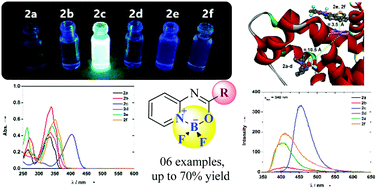 Graphical abstract: 1,1-Difluoro-3-aryl(heteroaryl)-1H-pyrido[1,2-c][1,3,5,2]oxadiazaborinin-9-ium-1-uides: synthesis; structure; and photophysical, electrochemical, and BSA-binding studies