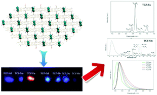 Graphical abstract: Syntheses, structures, luminescence and magnetic properties of seven isomorphous metal–organic frameworks based on 2,7-bis(4-benzoic acid)-N-(4-benzoic acid)carbazole