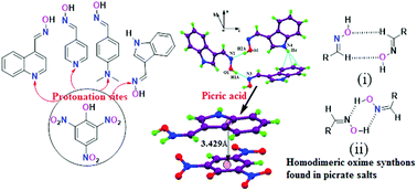 Graphical abstract: Different self-assemblies and absorption–emission properties of the picrate salts of aromatic amine or heterocycle linked oximes