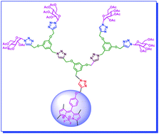 Graphical abstract: Synthesis, characterization, optical and electrochemical properties and antibacterial activity of novel BODIPY glycoconjugated dendrimers