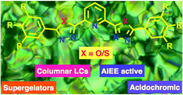 Graphical abstract: Columnar self-assembly of luminescent bent-shaped hexacatenars with a central pyridine core connected with substituted 1,3,4-oxadiazole and thiadiazoles