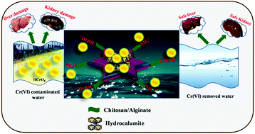 Graphical abstract: Hydrothermal synthesis of hydrocalumite assisted biopolymeric hybrid composites for efficient Cr(vi) removal from water