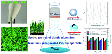 Graphical abstract: Titania nanowires coated PEI/P25 membranes for photocatalytic and ultrafiltration applications