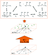 Graphical abstract: Comparative study of WCx-based catalysts for aqueous phase hydrogenolysis of glycerol into bioadditives