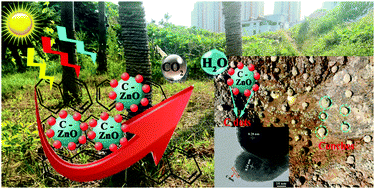 Graphical abstract: Rapid degradation of unmanageable polycyclic aromatic hydrocarbons by a C-ZnO solid solution nanocatalyst