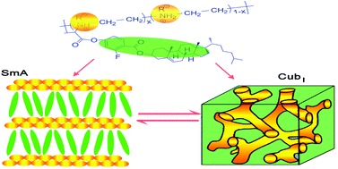 Graphical abstract: Self-assembly of liquid crystalline polyethyleneimines bearing cholesteryl mesogens and ionic groups